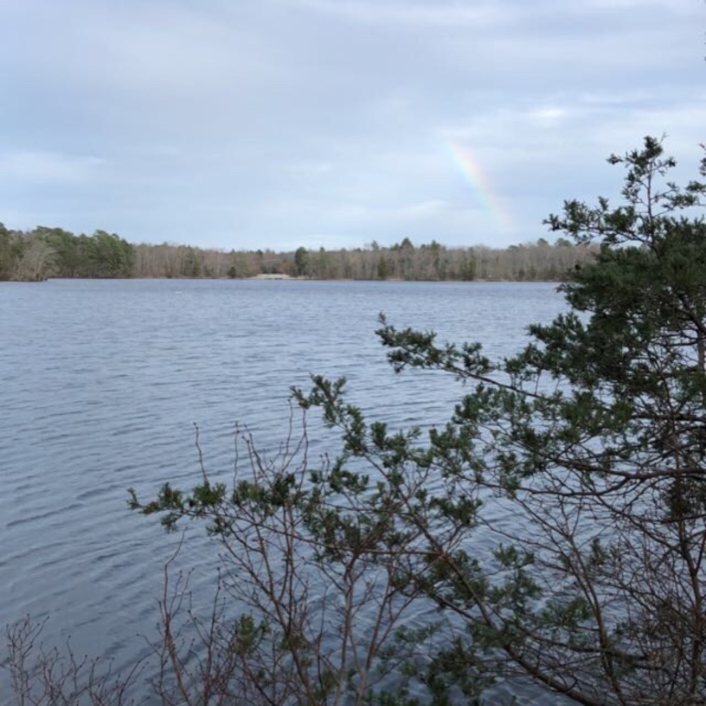 Meet your Posher, Peyton